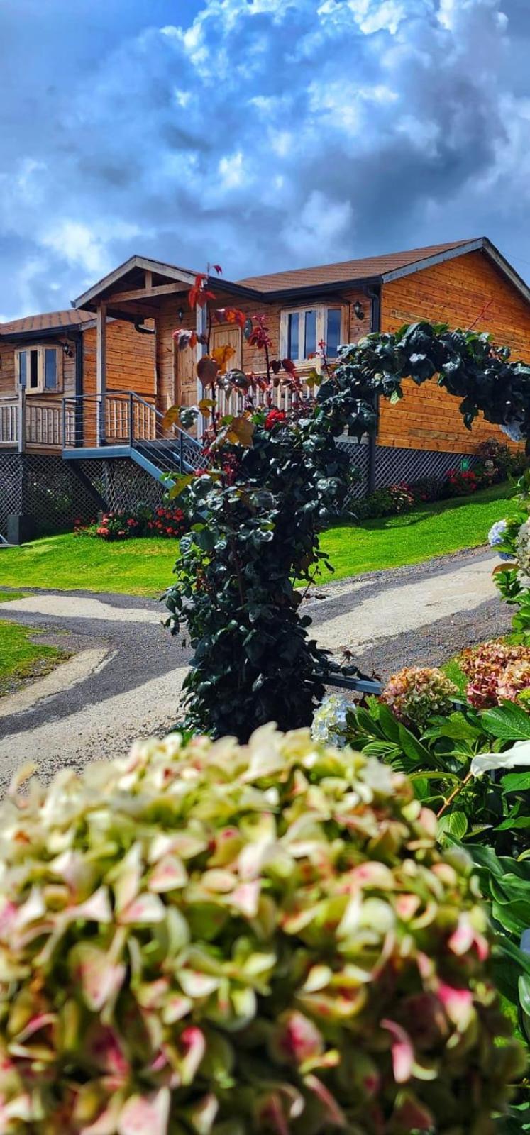 Hotel Cabanas Y Mirador Secret Garden Cr Картаго Екстер'єр фото